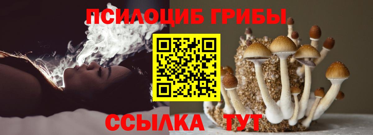 Галлюциногенные грибы мухоморы Туапсе
